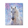 Malování podle čísel - Bílý kůň