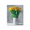 Banda žlutých tulipánů