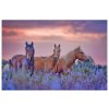Diamantové malování - Stádo koní