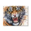 Malování podle čísel Tygr portrét