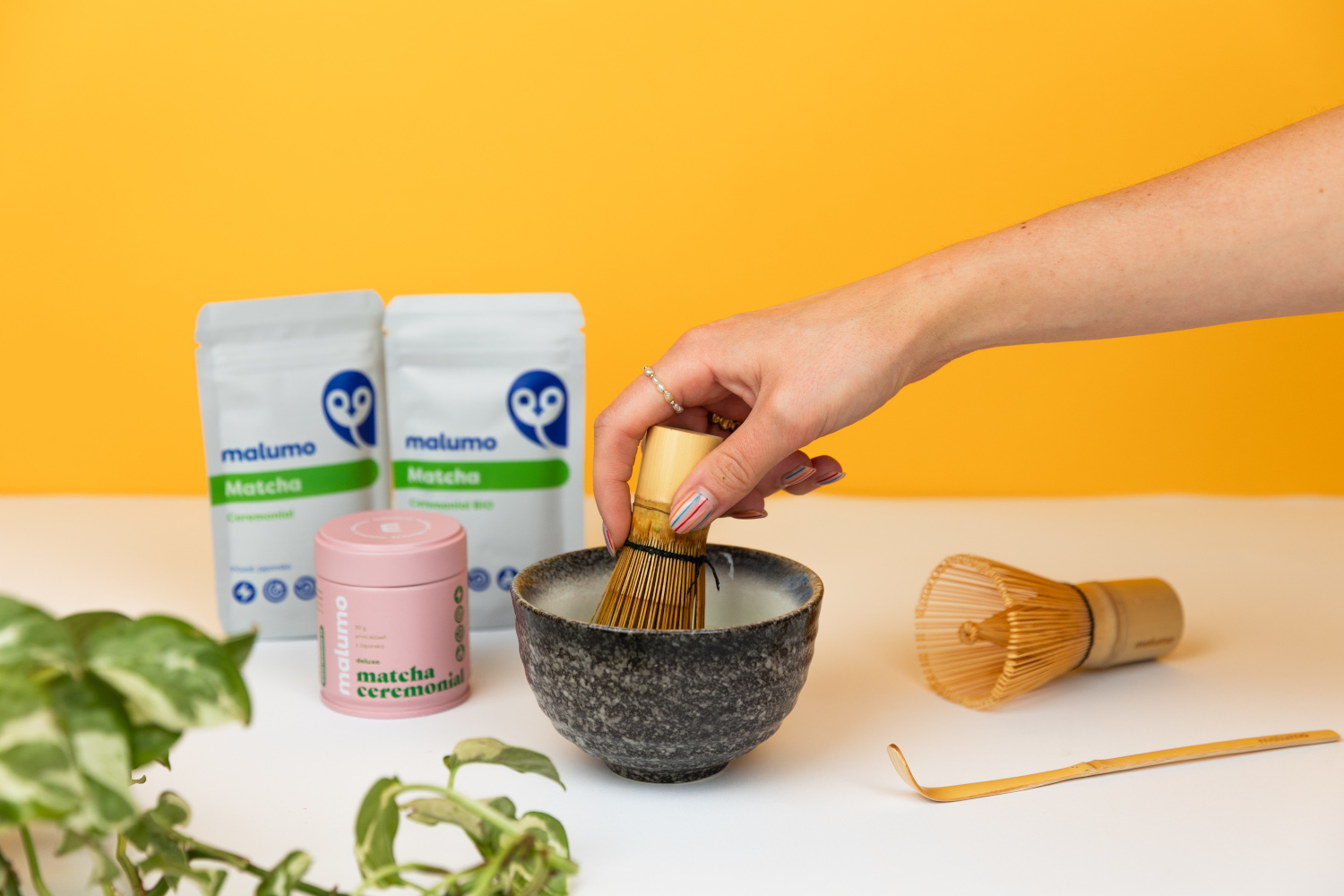 Ceremoniální matcha: co to je, jak chutná a jak ji poznat