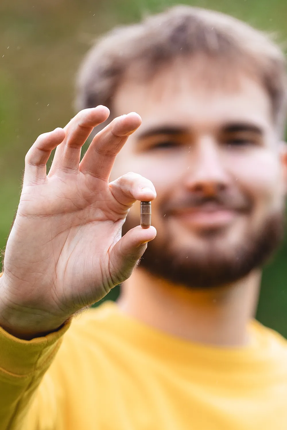 Jaké jsou výhody Reishi?