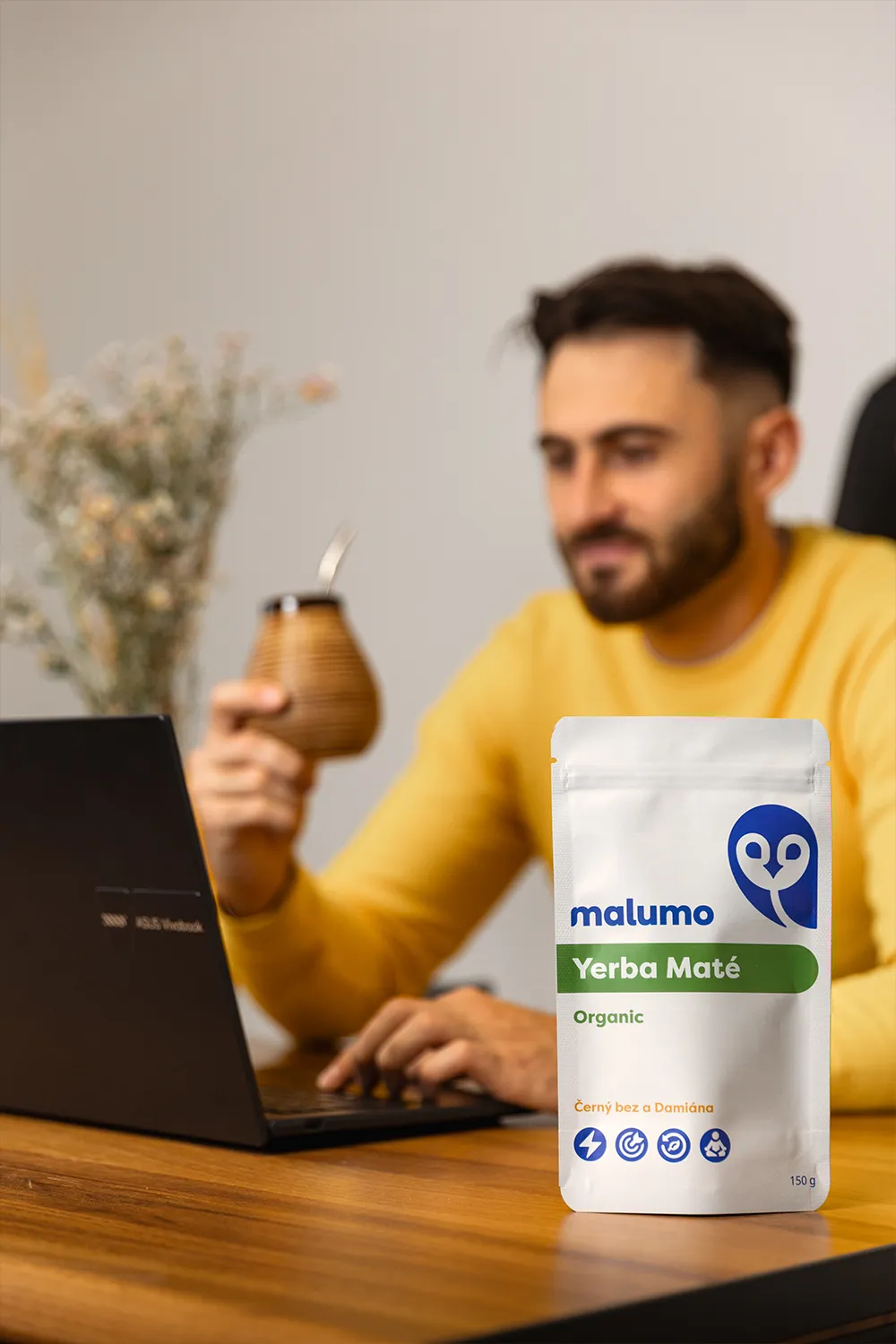 Jaké jsou výhody Yerba Maté?