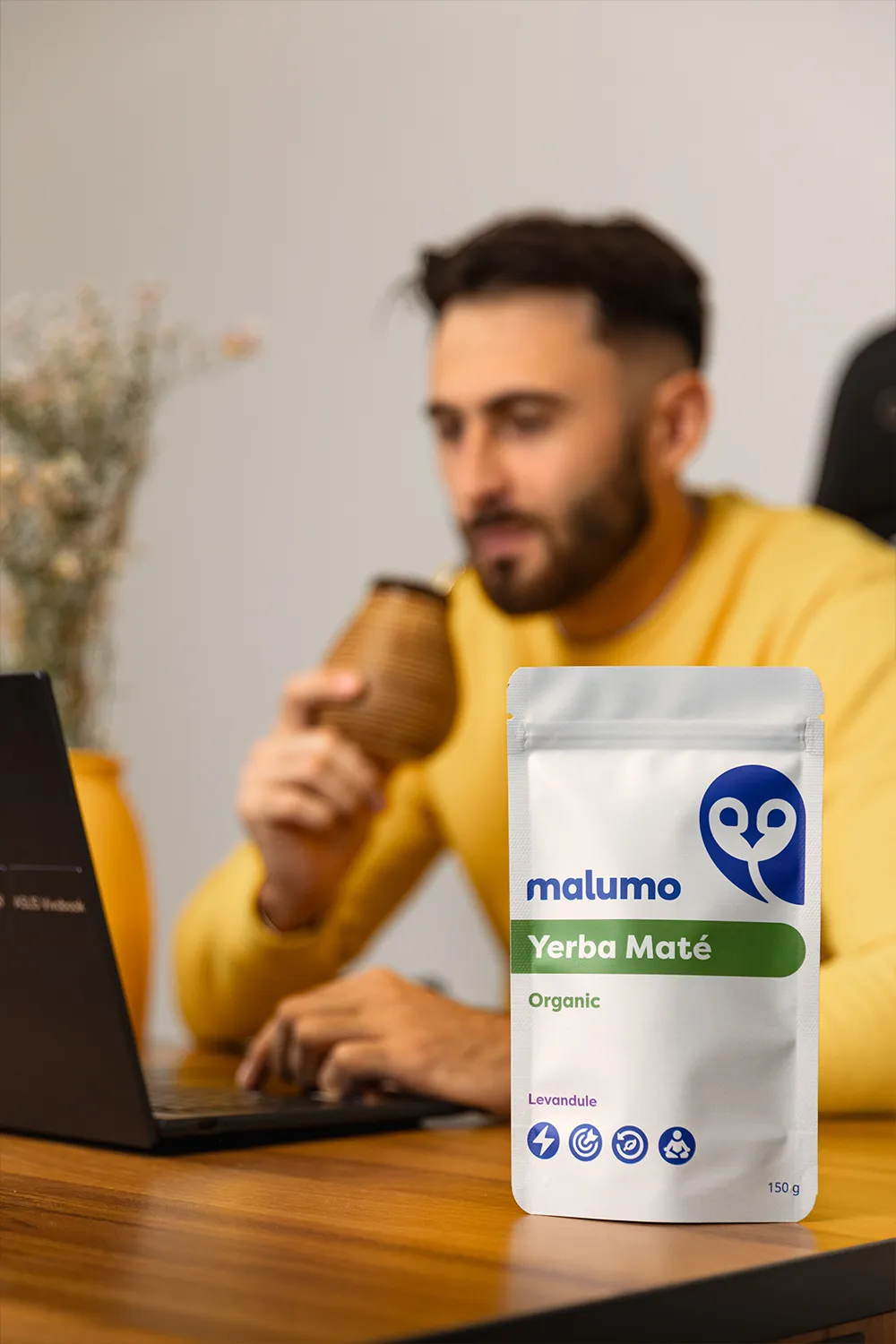 Jaké jsou výhody Yerba Maté?