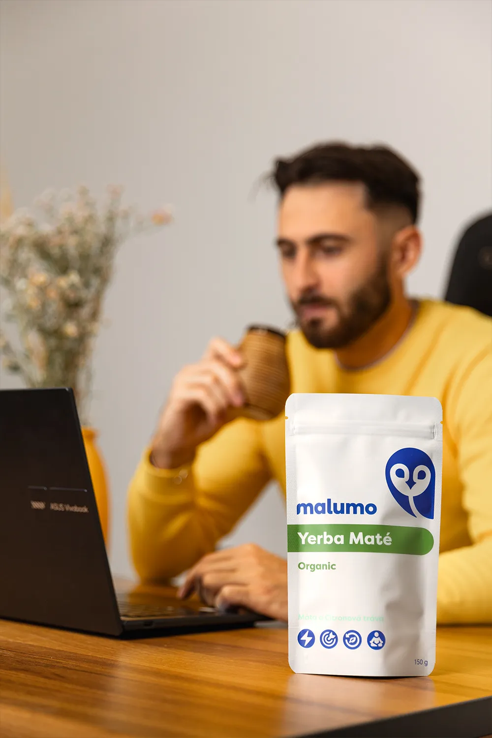 Jaké jsou výhody Yerba Maté?