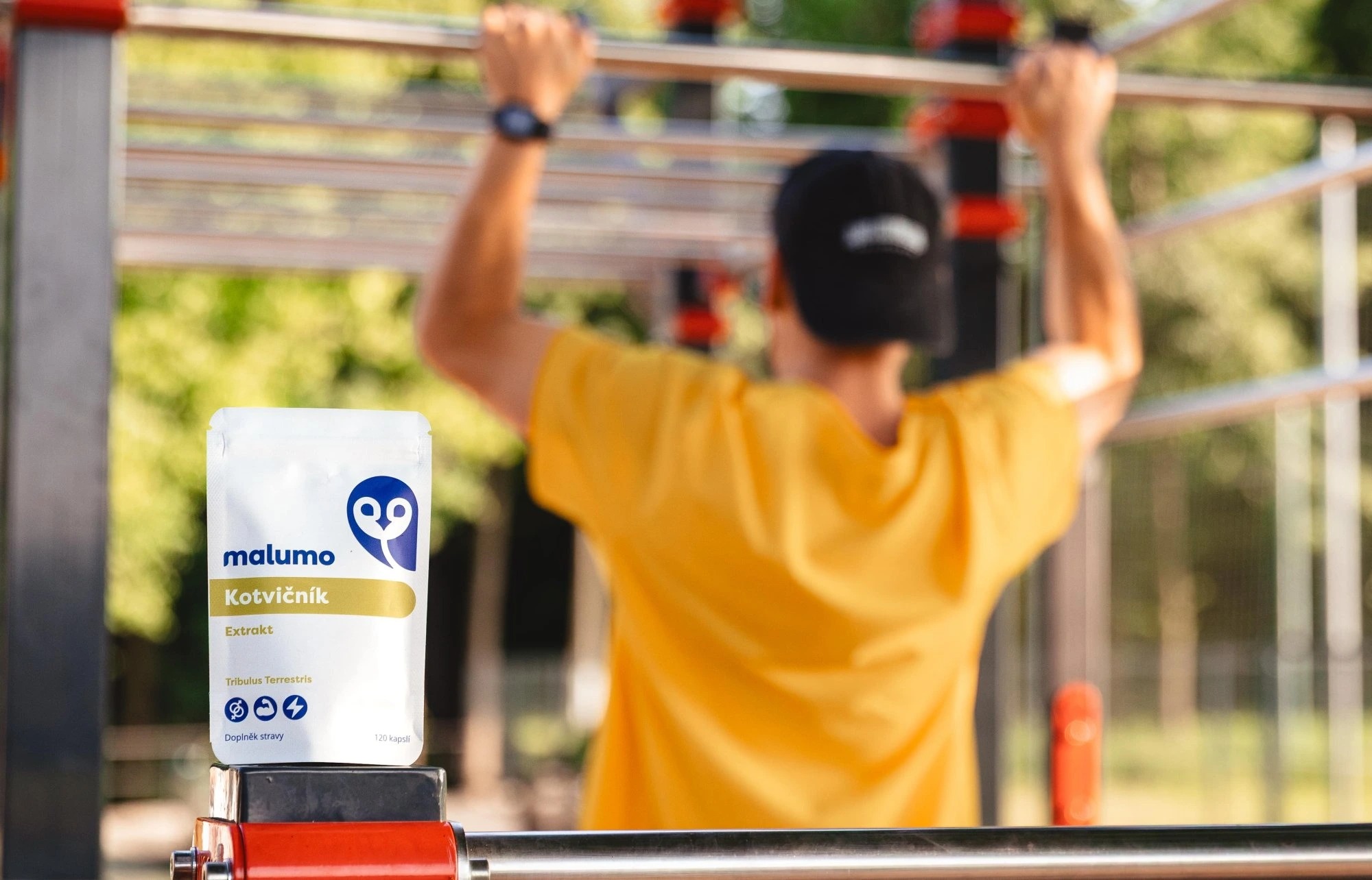 Kotvičník zemný: Prírodná cesta k zvýšeniu libida a energie