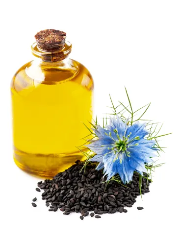 Čo je černuška siata?