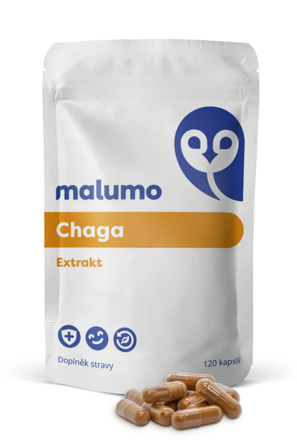 Chaga z Malumo