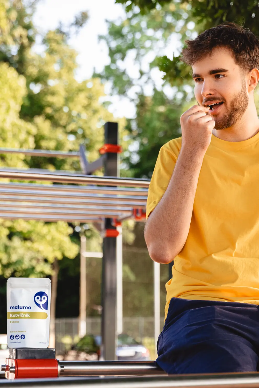 Čo je kotvičník zemný?