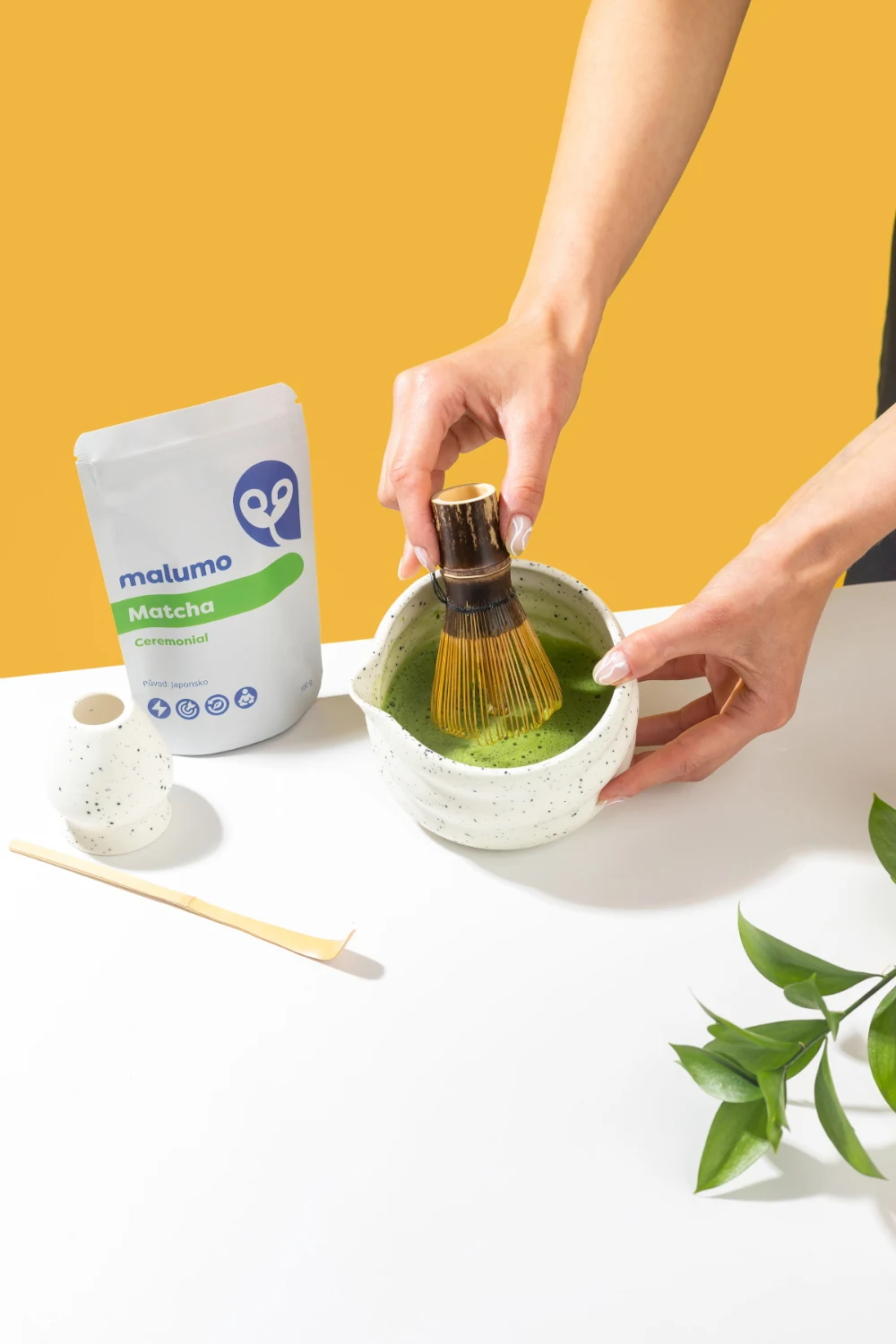 Čo znamená ceremonial BIO?