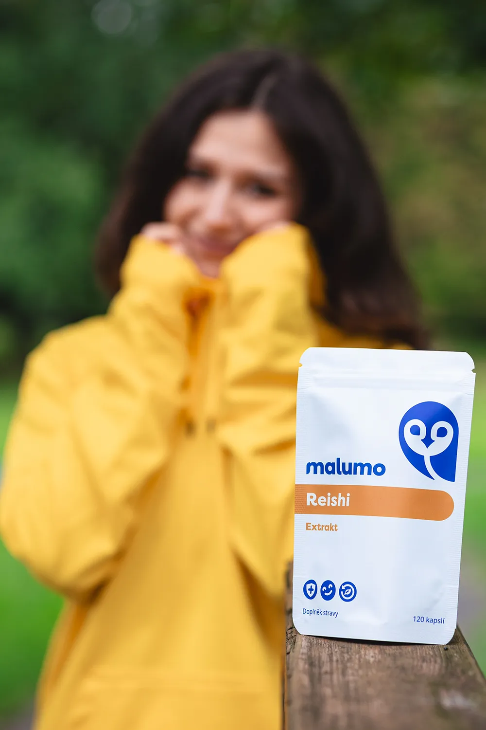 Ďalšie účinky Reishi