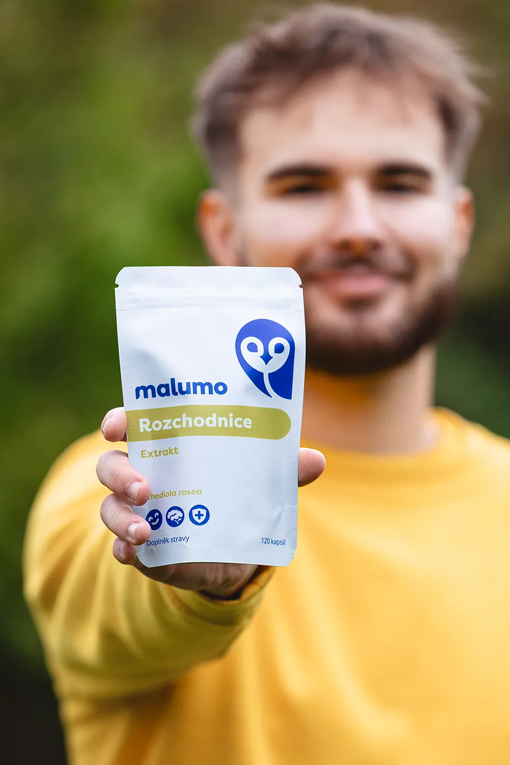 Čo je Rozchodnica ružová?