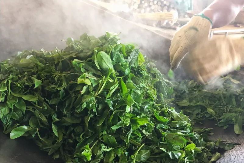 Rýchle naparenie lístkov