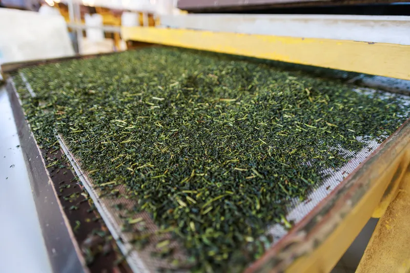 Odstránenie stoniek a žiliek