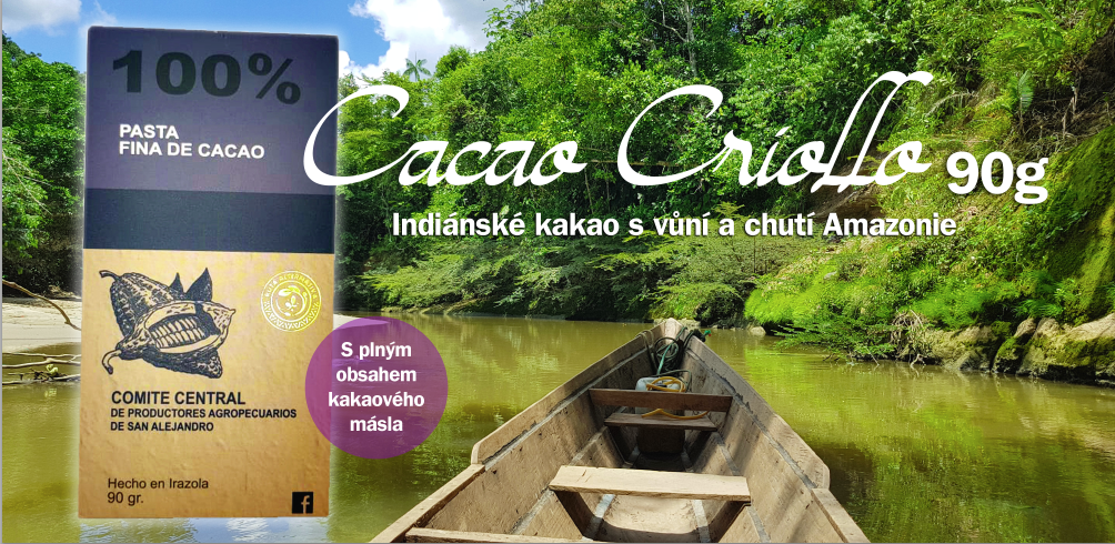 Kakao criollo