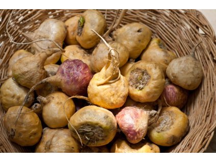 cesta con raices de maca