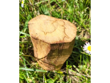 Obrázek WhatsApp, 2025 05 21 v 11.19.37 733ab5aa