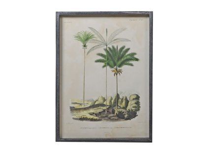 Elegantní obraz Palm Tree No2 56x41 cm zasklené