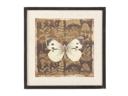 Stylový obraz Butterfly 39x39cm čtvercový