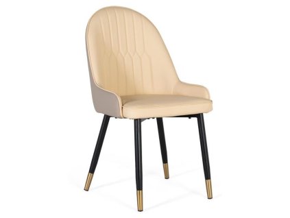 98137 1 designova jidelni zidle florence bezova