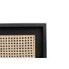 Elegantní skříňka ratanový výplet mango