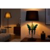 Designová stolní lampa Parrots 75cm černá-tyrkys