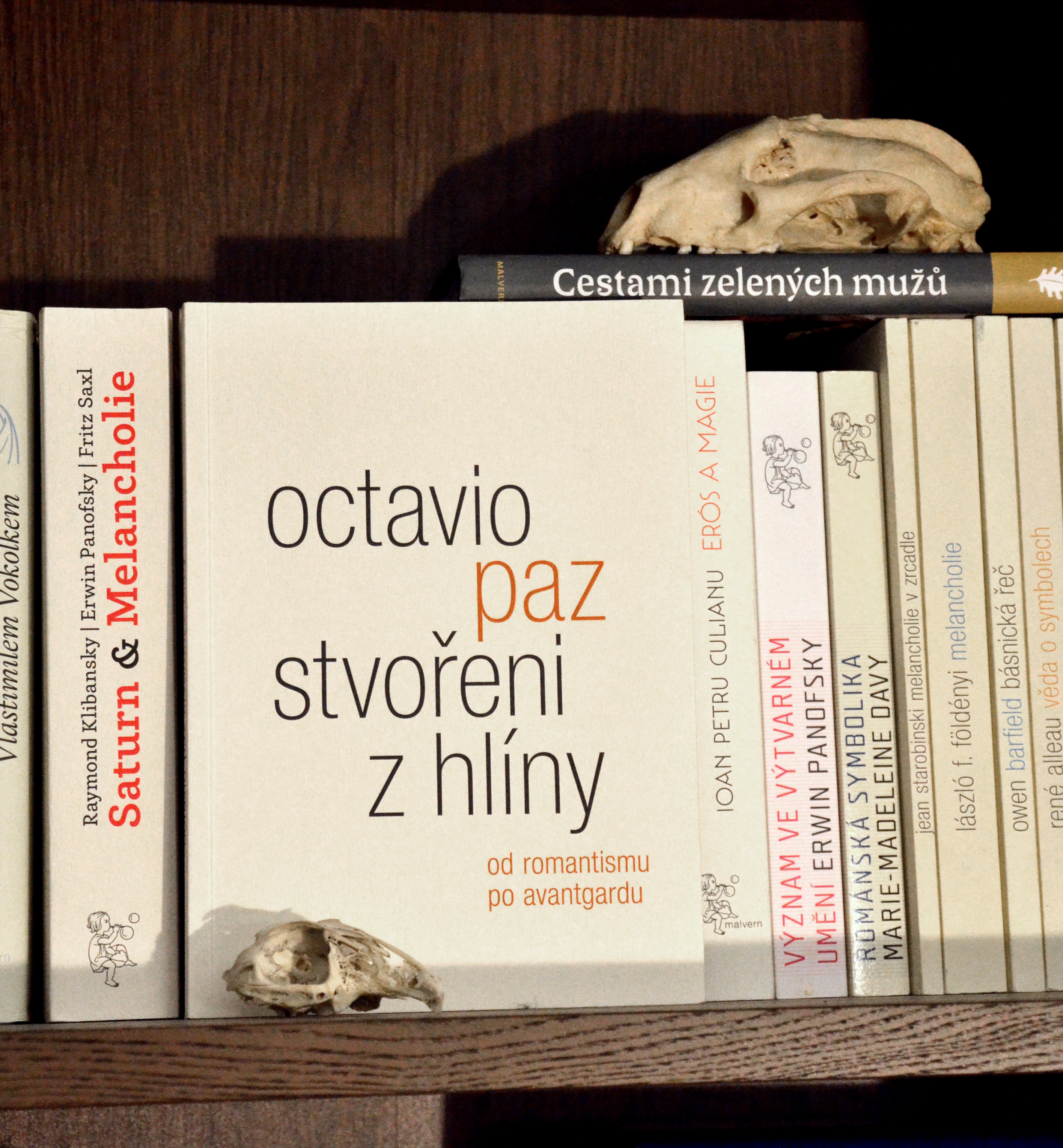 Recenze na knihu Octavia Paze Stvořeni z hlíny