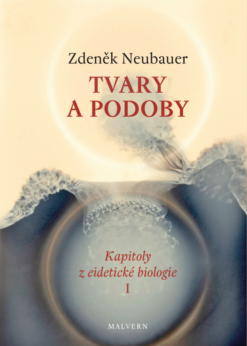 Zdeněk Neubauer: Tvary a podoby