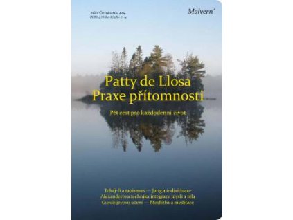 Patty de Llosa: Praxe přítomnosti (Pět cest pro každodenní život: Tchaj-ťi a taoismus, Jung a individuace, Alexanderova technika integrace mysli a těla, Gurdžijevovo učení, modlitba a meditace)