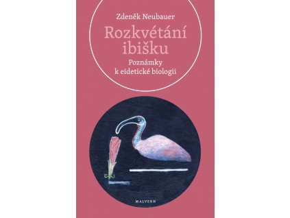 Zdeněk Neubauer: Rozkvétání ibišku. Poznámky k eidetické biologii