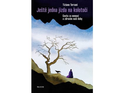 Tiziano Terzani: Ještě jedna jízda na kolotoči. Cesta za nemocí a zdravím naší doby