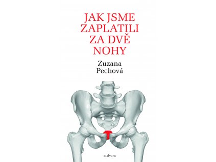 Zuzana Pechová: Jak jsme zaplatili za dvě nohy. Rozhovory s lékaři, fyzioterapeuty a biology o lidském těle, hlavně o kostrči a svalstvu pánevního dna