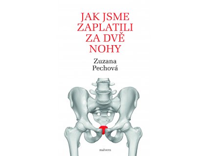 Zuzana Pechová: Jak jsme zaplatili za dvě nohy. Rozhovory s lékaři, fyzioterapeuty a biology o lidském těle, hlavně o kostrči a svalstvu pánevního dna