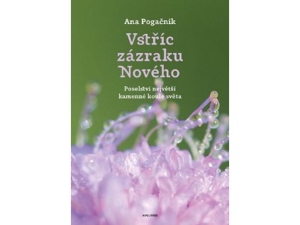 Ana Pogačnik: Vstříc zázraku Nového