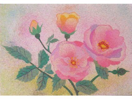 FB IMG 1775581551697