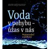 A. Wilkens, H. Dreiseitl, J. Greene, M. Jacobi, Ch. Liess, W. Schwenk:  Voda v pohybu - úžas v nás. Pozorování a pokusy