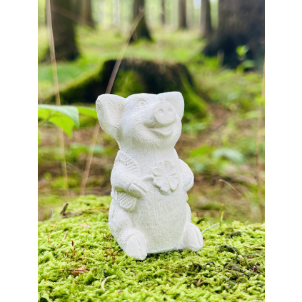 3D omalovánka - Prasátko pro štěstí