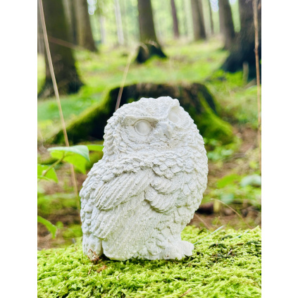 3D omalovánka - Mládě Sovy