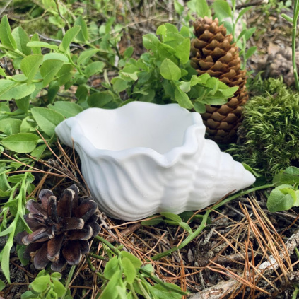 Dekorace sádrová mušle