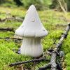 Sádrová lesní houbička nemalovaná