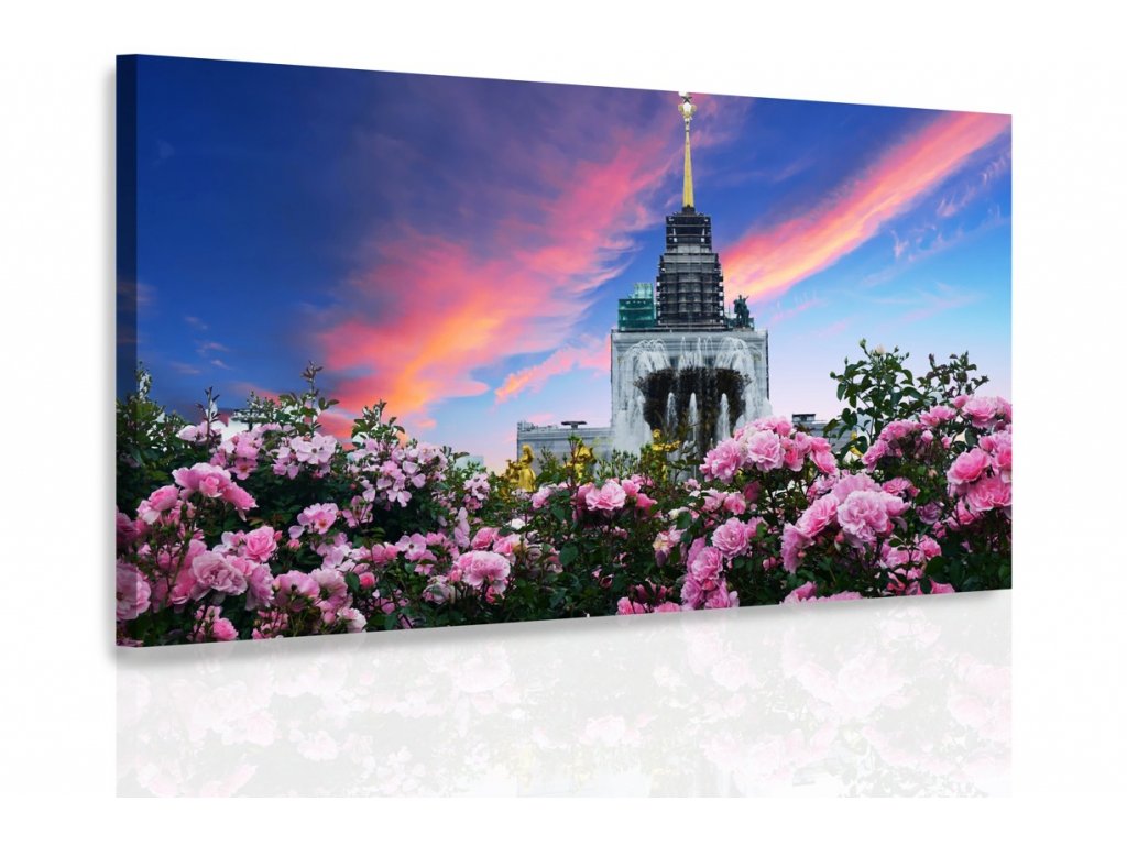 Obraz - Město růží (Velikost 60x40 cm)