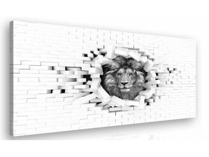 Černobílý obraz - lev (Velikost 60x40 cm)