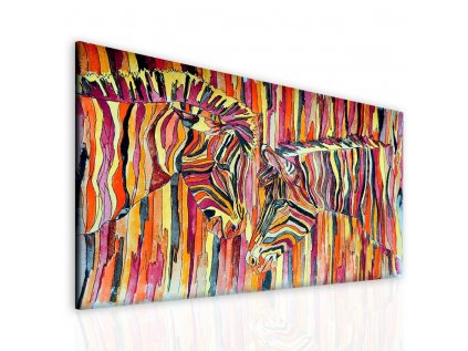 Obraz barevné zebry (Velikost 120x80 cm)
