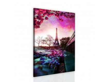 Obraz kouzelná Paříž (Velikost 60x80 cm)