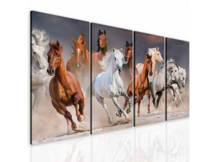 Obraz krása koní (Velikost 160x90 cm)