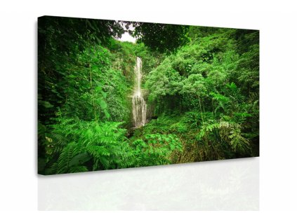 Obraz - Lesní vodopád (Velikost 60x40 cm)