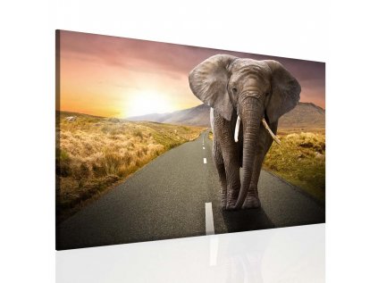 Obraz na stěnu - slon v krajině (Velikost 60x40 cm)