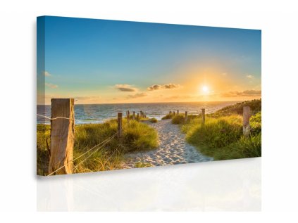 Obraz - Pěšinka na pláž (Velikost (šířka x výška) 90x60 cm)