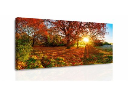 Obraz - Podzimní slunce (Velikost 140x70 cm)