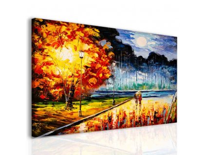 Obraz procházka v dešti (Velikost 80x60 cm)